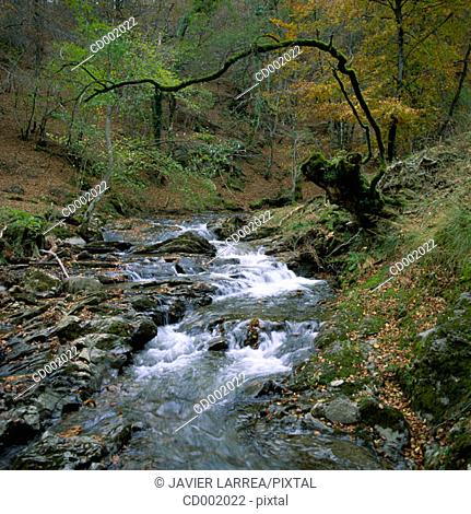 Alzania River. Otzaurte. Guipúzcoa. Spain