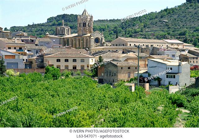 Vallbona de les Monges Monastery. Cister route (XIII-XIVth century). Urgell. Lleida province. Catalonia. Spain