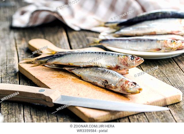 Raw sardines fish on cutting board