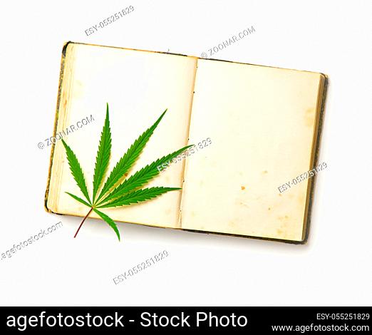 Marijuana cannabis leaves on old book isolated on white background