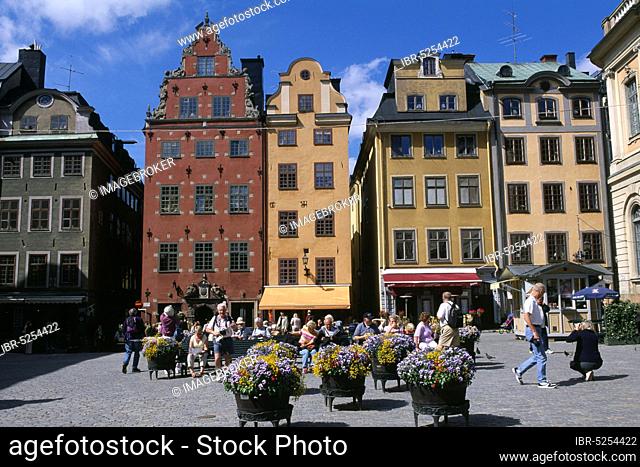 Stortorget, Gamla Stan, Stockholm, Sweden, Europe
