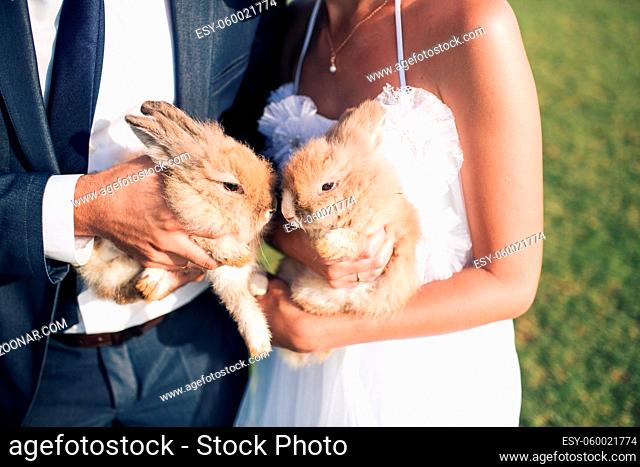 wedding couple are holding two small rabbits, summer time