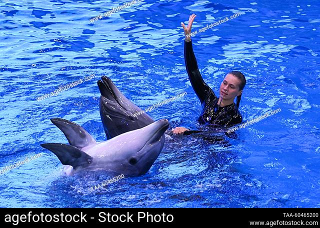 RUSSIA, VLADIVOSTOK - JULY 15, 2023: Indo-Pacific bottlenose dolphins and a coach perform during a marine mammal show as part of the Ocean of Hope charity event...