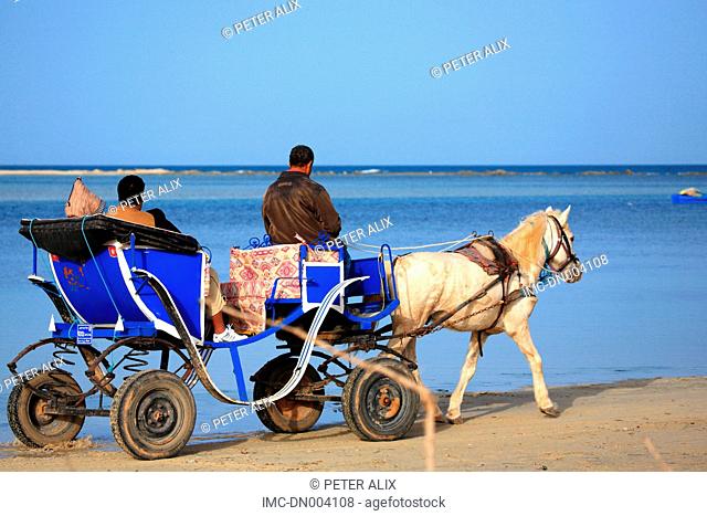 Tunisia, Djerba island, cart on the laguna