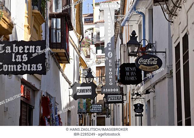 Alleyway, Calleja de las Flores, Córdoba, Andalusia, Spain, Europe