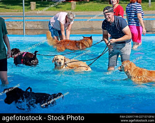 17 September 2023, Saxony-Anhalt, Magdeburg: Dog playing in the water at the Carl Miller pool. The association Pfotenfreunde Deutschland e. V