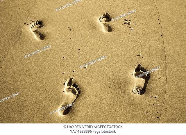 Foot Prints On Beach