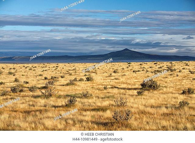 grassland in Santa Fe County