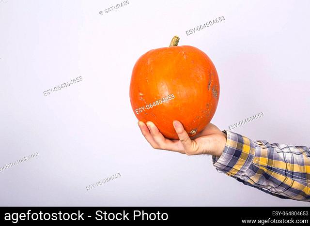 portrait of a young farmer holding a pumpkins on a light background studio