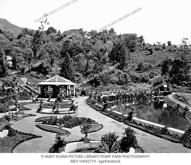 Government Botanical Gardens, Ootacamund (Udhagamandalam, Ooty), Tamil Nadu state, India