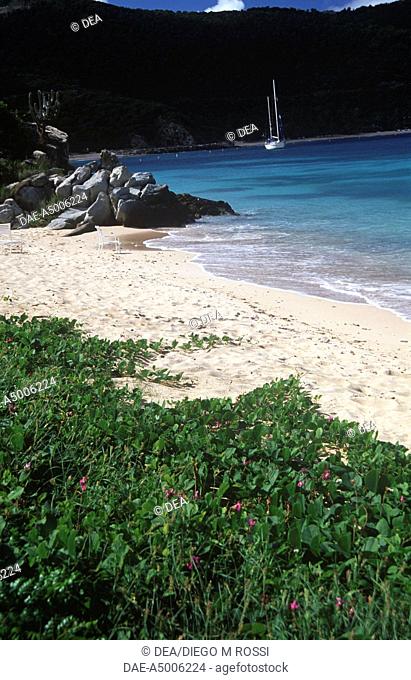 British Virgin Islands (British colony) - Peter Island - Beach