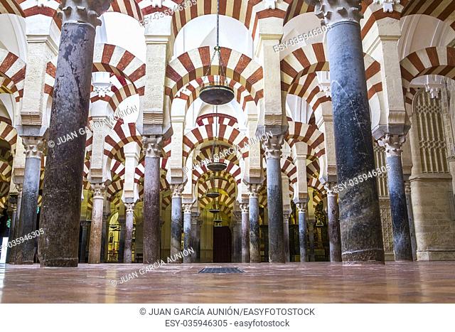 Hypostyle hall at Medieval Islamic mosque of Cordoba, Andalusia, Spain. Ground view