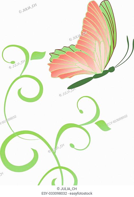 abstract butterfly and flourishes isolated on white