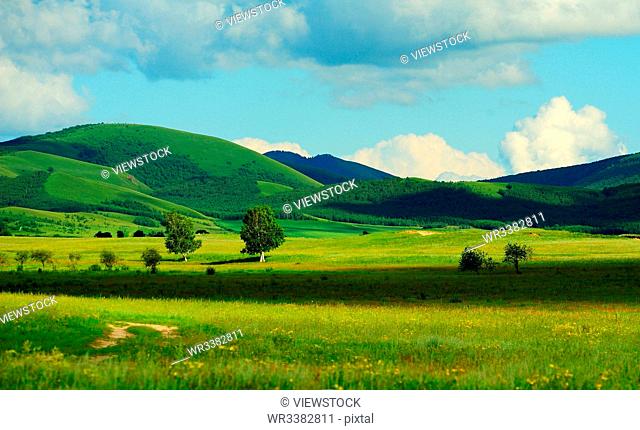 Bashang grassland scenery