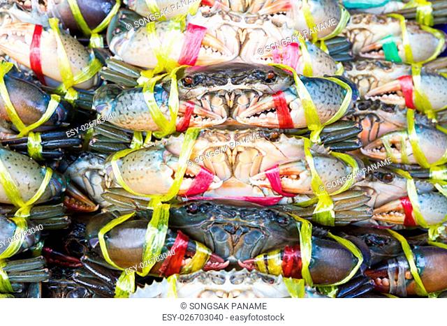 Close up Black Crab or Serrated Mud crab in fresh market