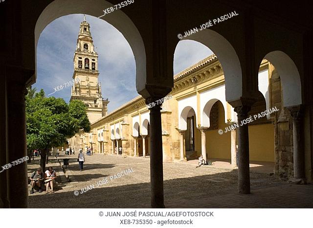 Patio de los Naranjos, courtyard and minaret tower of the Great Mosque, Cordoba. Andalucia, Spain