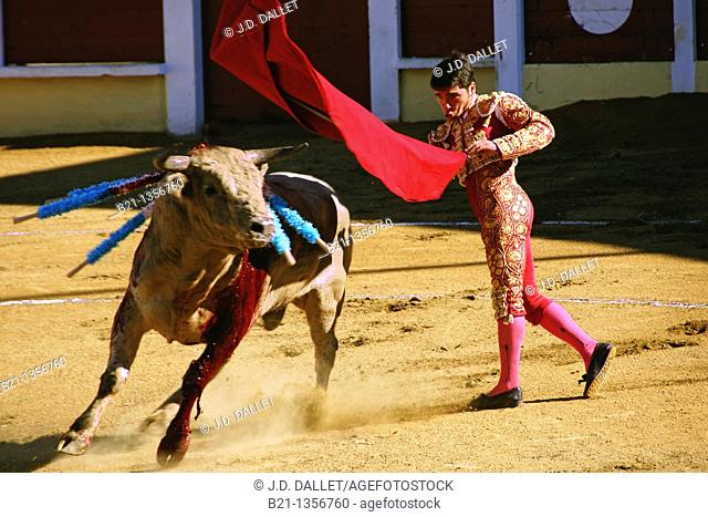 'Pase de pecho', bullfighting, Parentis en Born, Landes, Aquitaine, France