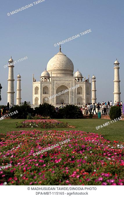 View of Taj Mahal with garden Seventh Wonders of World on the south bank of Yamuna river , Agra , Uttar Pradesh , India UNESCO World Heritage Site