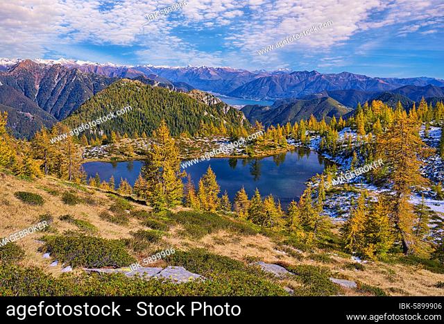 Mountain lake surrounded by autumnal larches, Alpe Salei, Tal Onsernone, Canton Ticino, Switzerland, Europe