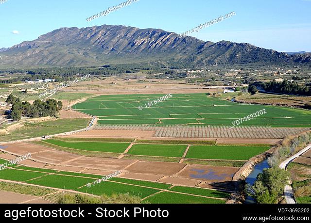 Calasparra, rice fields. Murcia, Spain