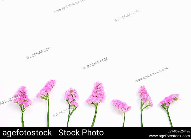 Pink purple statice flowers on white background. Floral composition, flat lay, top view, copy space