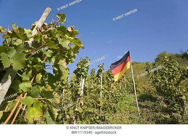 German flag in a vineyard in the Bopparder Hamm wine-growing region on the banks of the Rhine River in Boppard, Rhineland-Palatinate, Germany, Europe