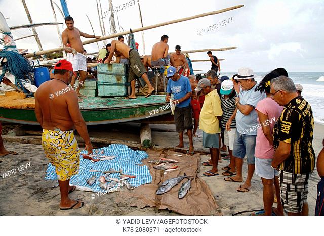 View over the jagandas boats and beach were the fishermen sell their catch in the early morning, Iguape village, Fortaleza district, Brazil