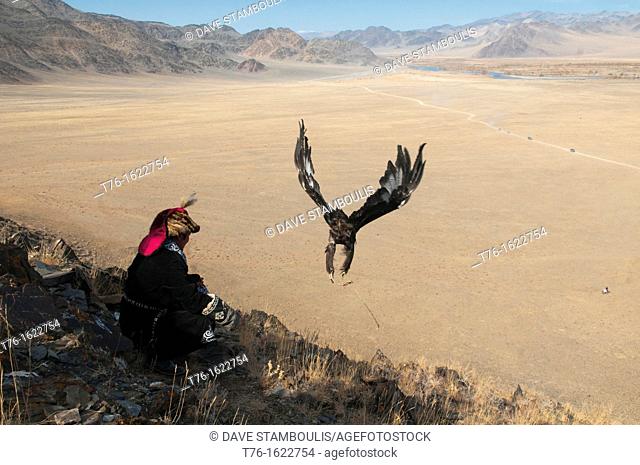 A Kazakh eagle hunter lets his golden eagle fly in the Altai Region of Bayan-Ölgii in Western Mongolia