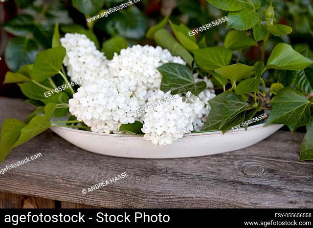 Still life with white lilac flowers, perfect for a greeting card, gift bag or calendar image