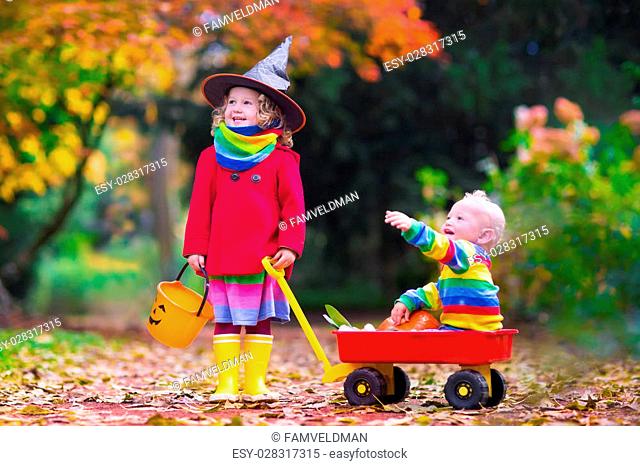 Little girl in witch costume and baby boy in wheel barrow holding a pumpkin playing in autumn park. Kids at Halloween trick or treat