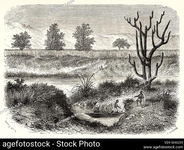 Shores of Kitangule, Africa. Old XIX century engraved from Le Tour du Monde 1864