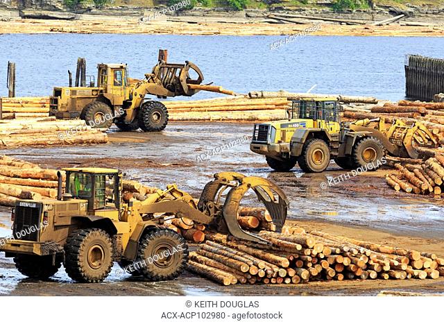 Loaders sorting logs at sawmill, Ladysmith, Vancouver Island, British Columbia