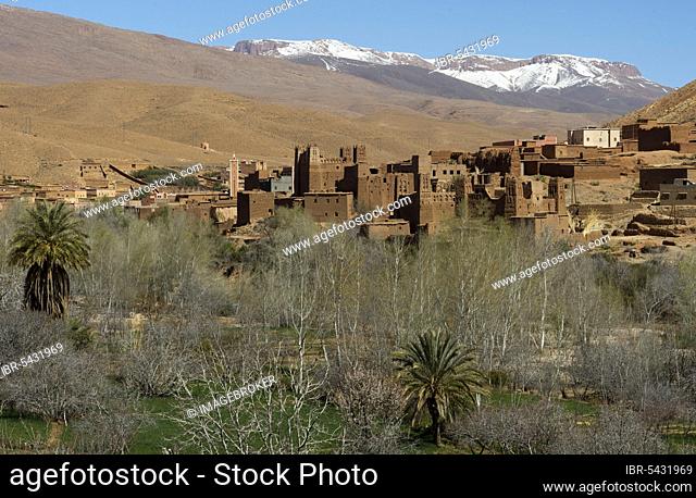 Morocco, Dades Valley, Valley of the Kasbahs, Dades Gorge, High Atlas, Ait Arbi, Africa