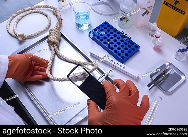 Police scientist analyses rope involved in hanging murder in crime lab, conceptual image