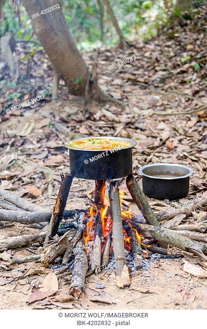 Pot of food on a campfire in the jungle, tropical rain forest, Taman Negara, Malaysia