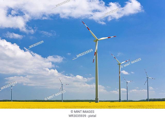 Tall wind turbines on a rapeseed field under a cloudy sky