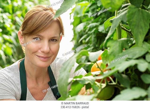 Portrait of smiling woman next to tomato plants in greenhouse
