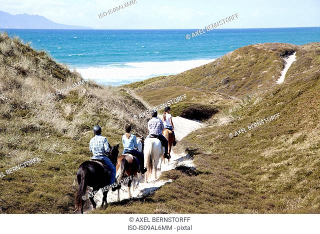 Horse riders heading down to Pakiri Beach, Auckland, New Zealand