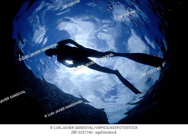 free diver champion Maria Teresa Solomons siluete at Sea of Cortez Baja California Mexico