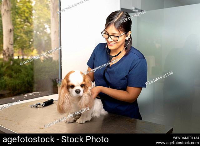 Happy veterinarian examining dog at clinic