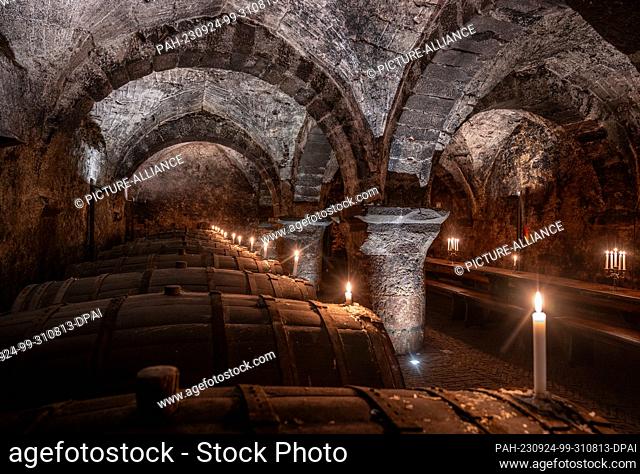 PRODUCTION - 19 September 2023, Trier: Wooden wine barrels are stored, tables and benches are set up for tastings in the wine cellar of the Vereinigte Hospitien...