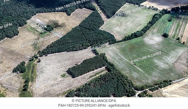 25 July 2018, Germany, Potsdam: Fields withered by the persistent heat can be spotted not far outside the city of Potsdam. Photo: Paul Zinken/dpa/ZB