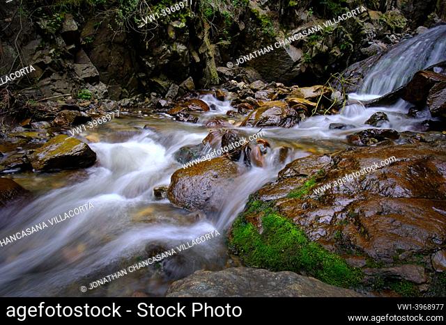 Beautiful landscape of inter-Andean forest where a stream of water runs that forms waterfalls and a small river