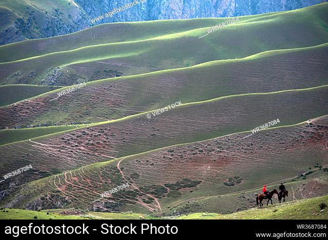 Xinjiang ili kara grassland topped the human body