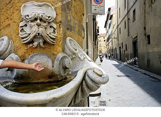 Fountain in Piazza de Frescobaldi. Florence. Tuscany. Italy