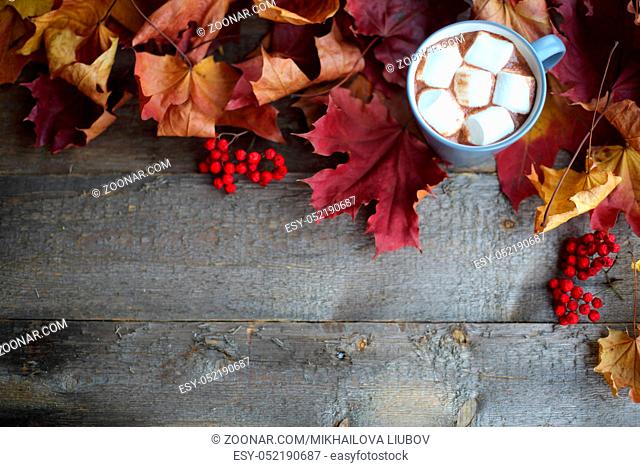 Autumn dried maple leaves and mug of cocoa with marshmellows on wooden table