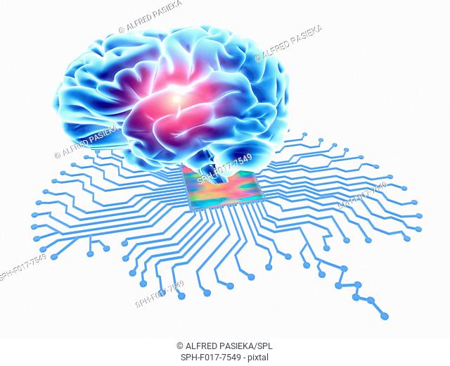 Brain shaped printed circuit board with central processor and human brain. Conceptual computer artwork depicting artificial intelligence