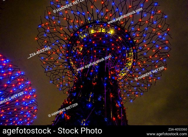 Light show at the Supertree Grove, Gardens by the Bay in Singapore, Asia