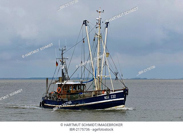 Shrimp boat Nordstrand, NOR 232, on her way back to the home port of Norddeich, Wadden Sea, UNESCO World Heritage Site, East Frisia, Lower Saxony, Germany