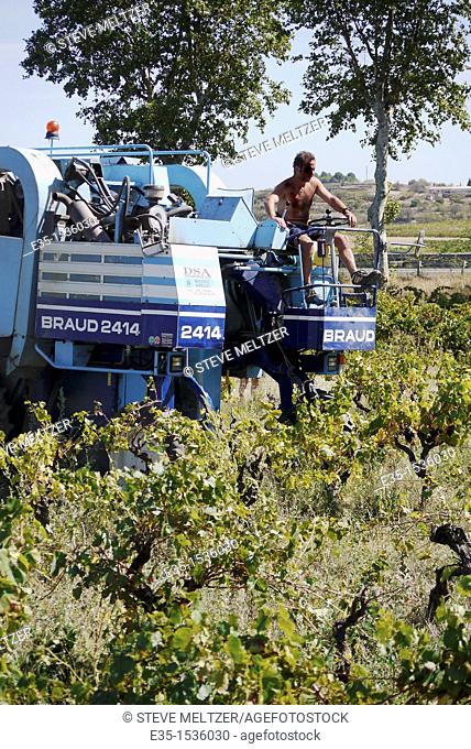 Large grape harvesters are used in the vineyards Southern France, to pick the ripe grapes in September, for the 'vendage.'